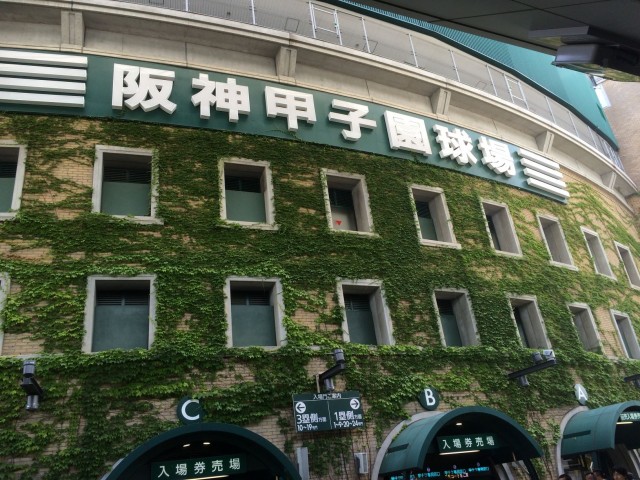 甲子園といえばやっぱり「蔦」。